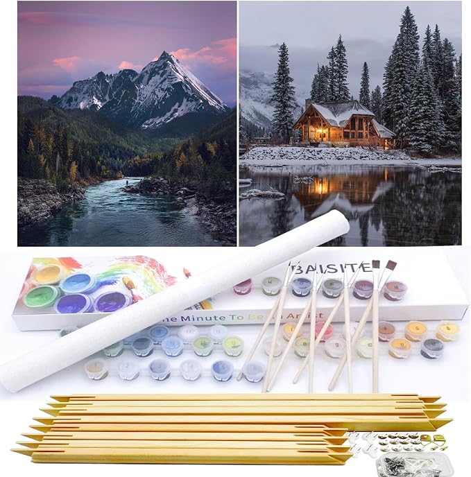 BAISITE Paint by Numbers Kit for Adults Beginners,12" Wx16 L 2 Pack Canvas for Painting Kits for Adults in Colorful Box-PBN219-220-DIY Frame