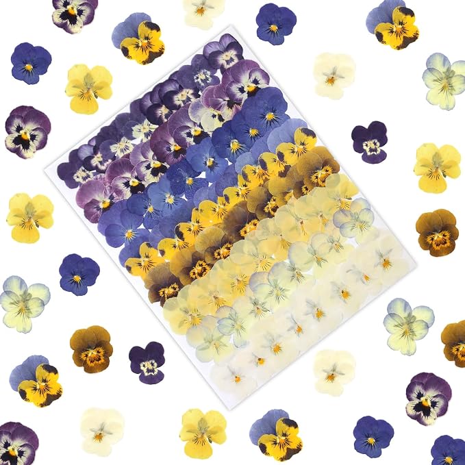 LUXEEASE 8 Color 64P Pansy Dried Pressed Flowers