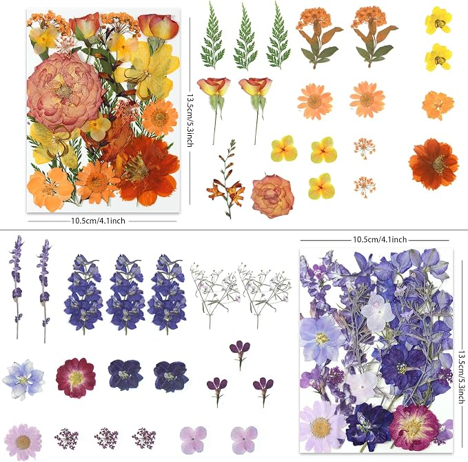 LUXEEASE 4-Color 80P Natural Dried Pressed Flowers