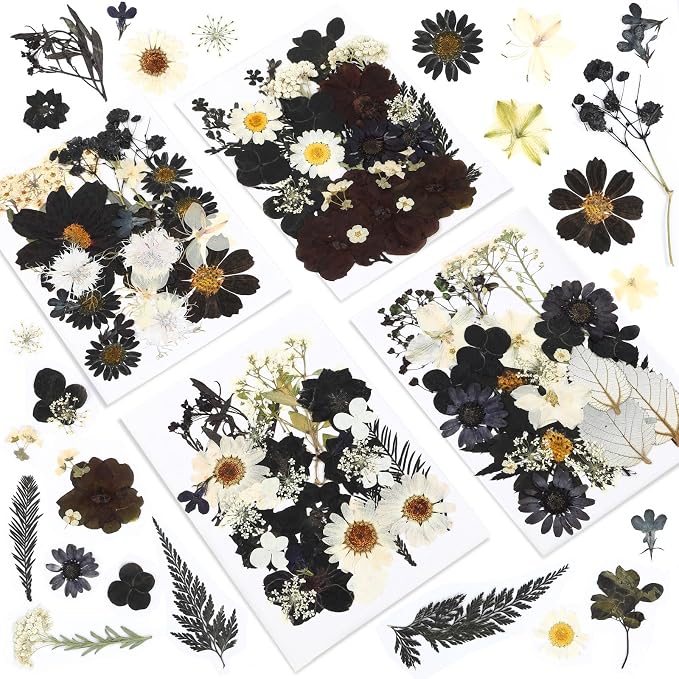 Augshy Black Dried Pressed Flowers, 120 Pcs Halloween Dried Flowers for Resin Molds Real Pressed Flowers for Crafts DIY Jewelry Molds, Scrapbooking, Candle, Soap Making