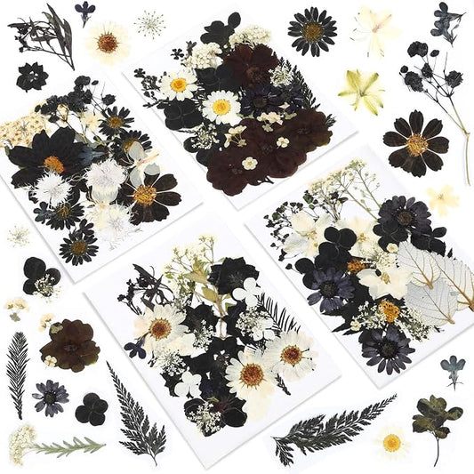 Augshy Black Dried Pressed Flowers, 120 Pcs Halloween Dried Flowers for Resin Molds Real Pressed Flowers for Crafts DIY Jewelry Molds, Scrapbooking, Candle, Soap Making