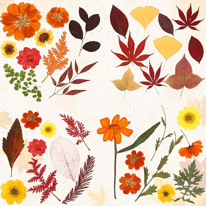 Augshy Fall Dried Pressed Flowers and Leaves for Autumn Crafts Resin DIY
