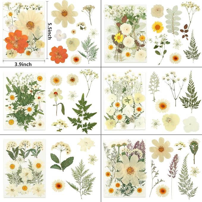 NESCCI 247 Pcs Dried Flowers for Crafts,Real Natural Dried Pressed Flowers in Soft Yellow & White Tones for Resin,Used for Scrapbooking DIY Art Crafts Candle Soap Making Nails Décor