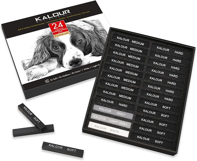 KALOUR 24 Pro Charcoal Drawing Set - Soft,Medium,Hard Charcoal and White - Charcoal Sticks for Drawing Sketching Shading - Art Supplies Gift for Artists Beginners Adults