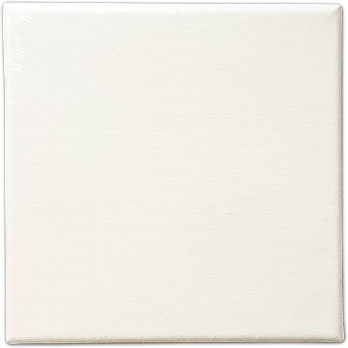 LWR CRAFTS Stretched Canvas 6" X 6" Pack of 6