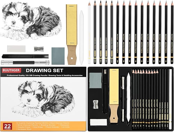 Drawing Sketching Pencil Set, 22 Pcs, Graphite Pencils (10B-6H) | Art Pencil Kit with Black and White Charcoal Pencils, Charcoal Sticks, Stumps, Eraser, Sharpeners, Sketch Set for Artists