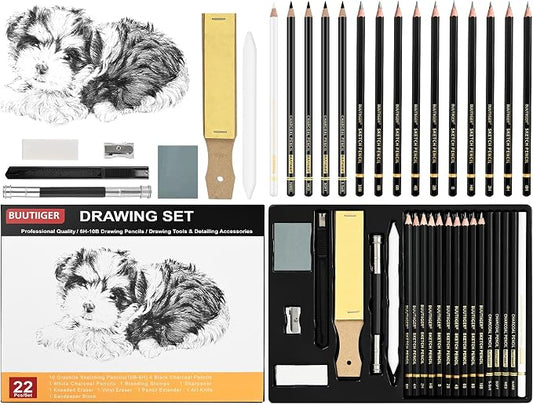 Drawing Sketching Pencil Set, 22 Pcs, Graphite Pencils (10B-6H) | Art Pencil Kit with Black and White Charcoal Pencils, Charcoal Sticks, Stumps, Eraser, Sharpeners, Sketch Set for Artists