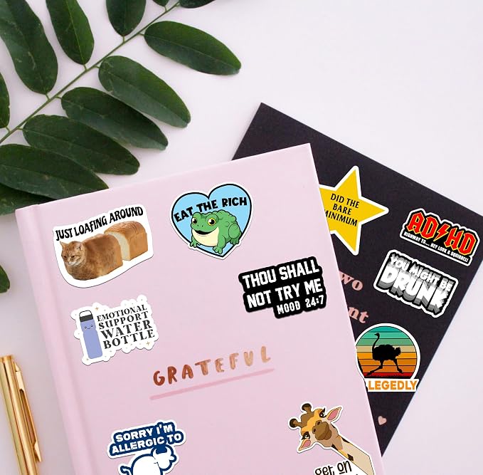 225PCS Funny Hot Mess Xpress Sticker Pack by Puraesla - Holographic Stickers for Adults, Waterproof Vinyl Sarcastic Relatable Meme Decals for Laptop, Water Bottle, Phone, Kindle, Journal