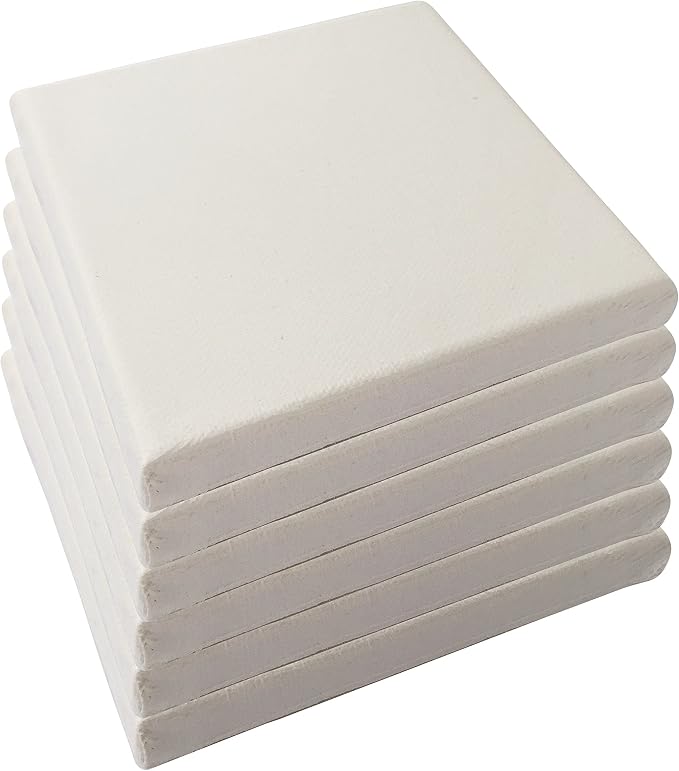 LWR CRAFTS Stretched Canvas 5" X 5" Pack of 6