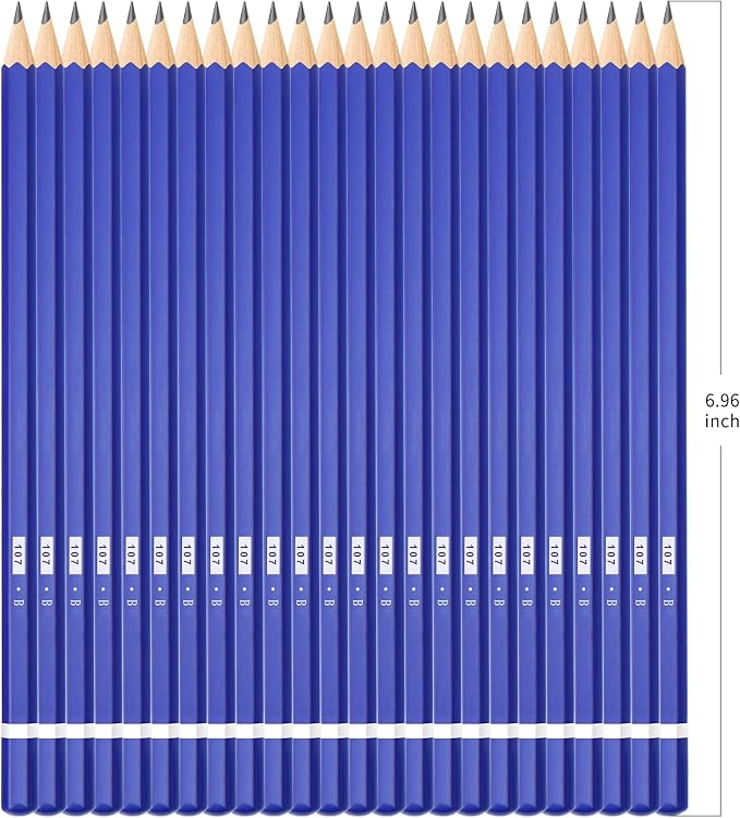 XDT#B Drawing Pencils 24 Piece Set, Pro Art Graphite Sketching&Shading Supplies, Ideal For Kid Beginner Student Adults Artist