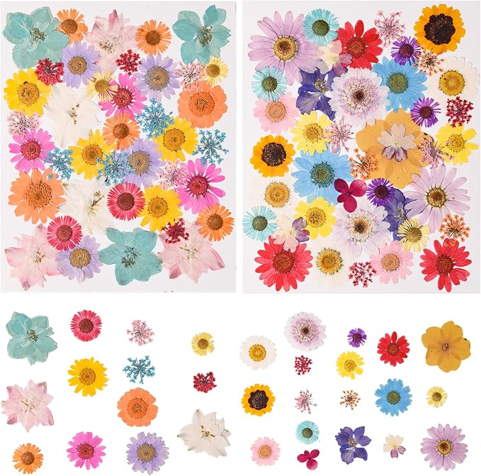 80PCS Multicolor Pressed Dried Flowers Dry Leaves