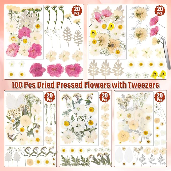 Dried Pressed Flowers for Resin, Real Pressed Flowers Dry Leaves Bulk Natural Herbs Kit for Scrapbooking Art Crafts Epoxy Resin Jewelry Mold Candle Soap Making Nails Décor (White & Pink Floral)