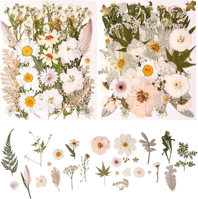 80PCS Natural Color Pressed Dried Flowers, White