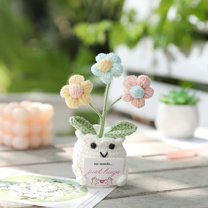 Crochet Sympathy Gifts for Loss of Loved One – No Words, Just Hugs Crochet Puff Flower Plant– Bereavement, Memorial, Get Well Soon, Grief Gift Idea for Loss of Grandpa Grandma Mom Dad
