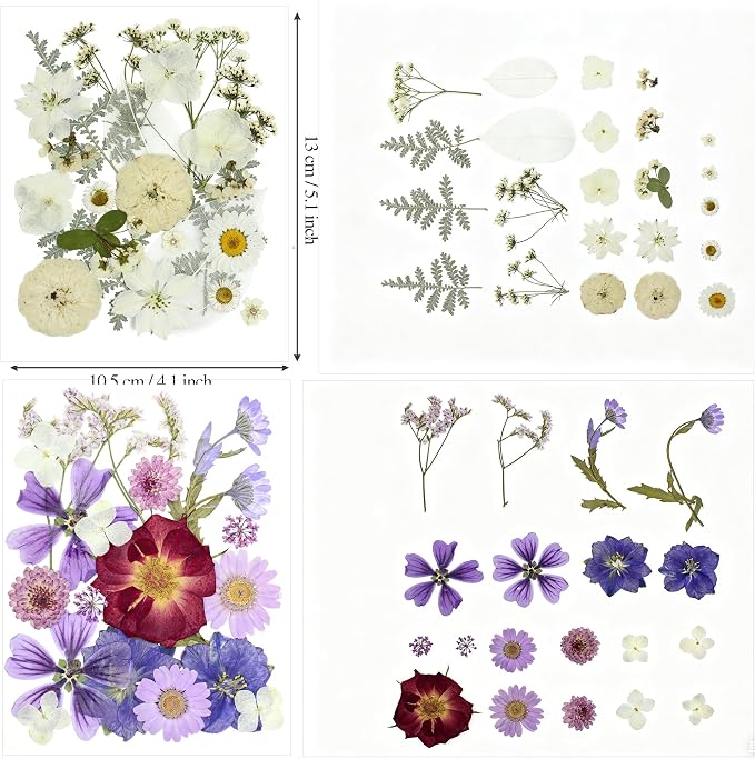 Real Nature Dried Pressed Flowers Leaves(120PcsPink White Purple)
