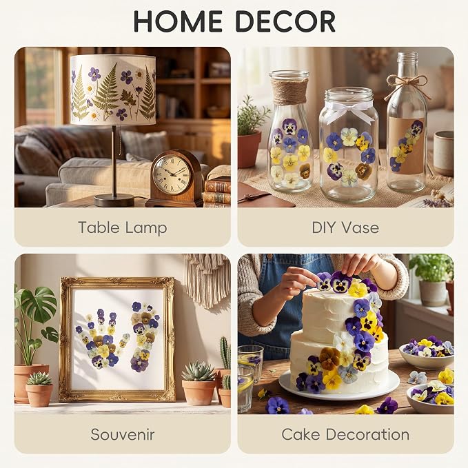 LUXEEASE 8 Color 64P Pansy Dried Pressed Flowers