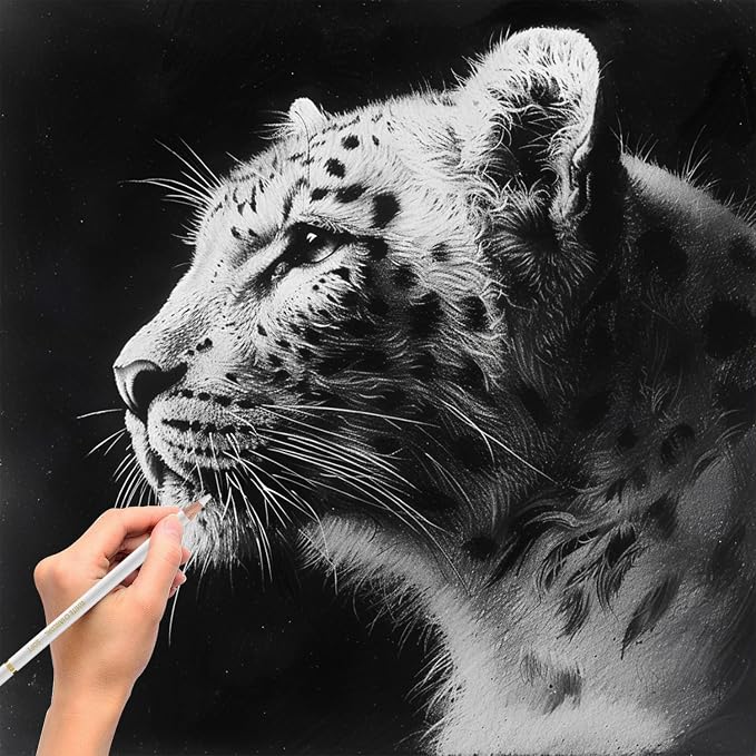 Aeni White Chalk Pencil, Pack of 12, Charcoal Pencils for Drawing | Art Supplies for Highlighting, Portraits, Landscapes, Sketching, Blending, Artist Supplies for Beginners & Pro Artists