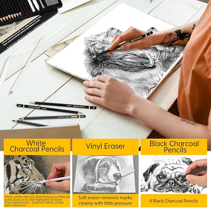 Sketch Drawing Pencil Set, 24 Pcs, Graphite Pencils (14B-4H) | Art Pencil Kit with Black and White Charcoal Pencils, Charcoal Sticks, Stumps, Eraser, Sharpeners, Sketch Set for Artists