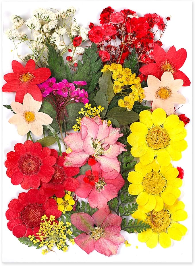 Augshy Dried Pressed Flowers, Natural Resin Flowers, Real Mixed Color Pressed Flowers, Colorful Dry Flowers for Resin Jewelry Nail Art Craft DIY