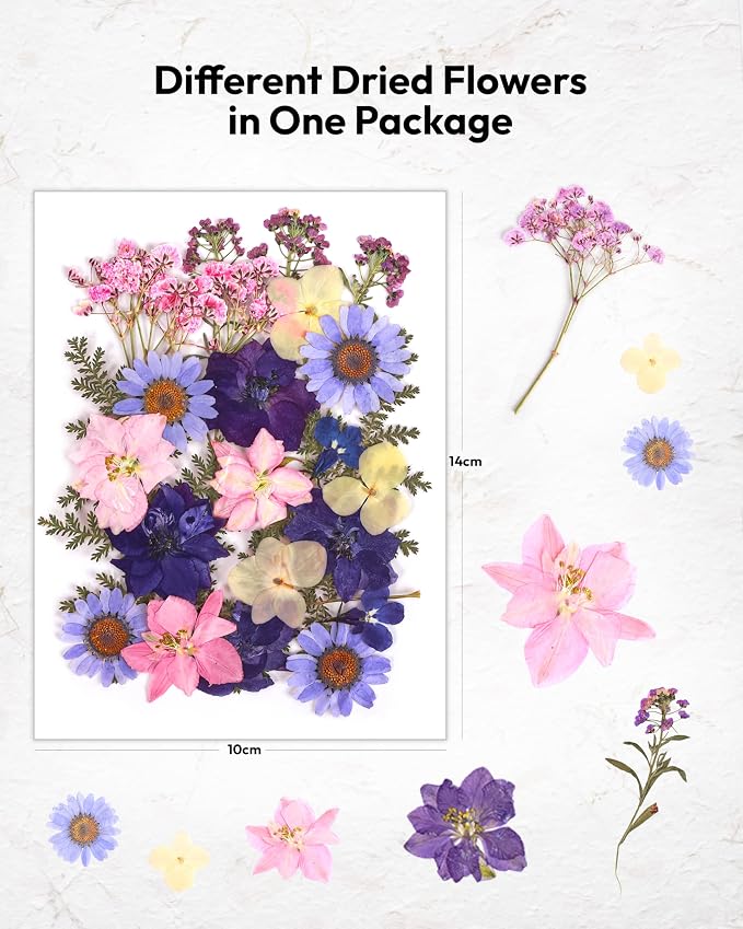 Dried Flowers, Resiners 100Pcs Pressed Flowers for Craft Purple Real Natural Dried Flowers Dry Leaves Kit for DIY Making Crafts Resin Soap Candle Scrapbook Supplies Card Making Jewelry
