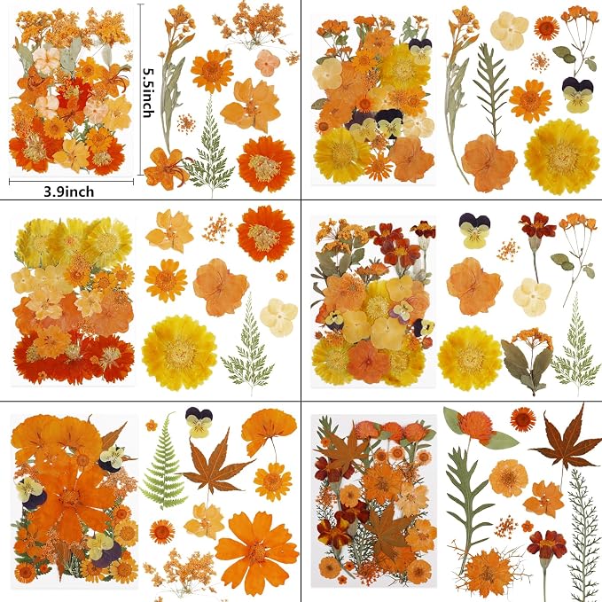 NESCCI 350 Pcs Orange Fall Dried Flowers for Crafts,Real Nature Dried Flowers for Craft Bulk Dry Flowers Leaves Kit Used for Resin Molds Scrapbooking DIY Art Crafts Candle Soap Making Nails Décor