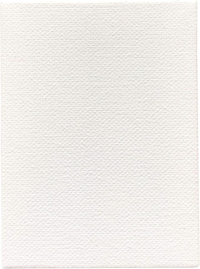 LWR CRAFTS Mini Stretched Canvas 3" X 4" Pack of 10