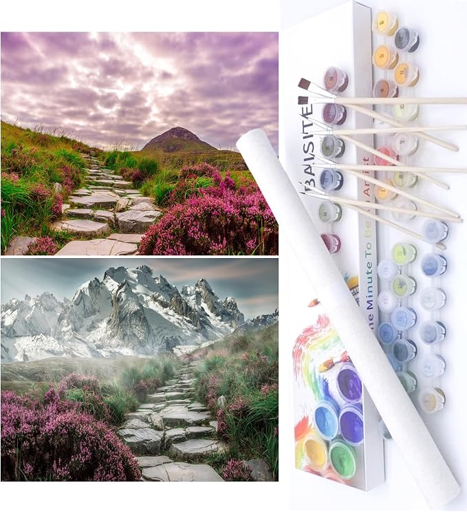 BAISITE Paint by Numbers Kit for Adults Beginners,16" Wx12 L 2 Pack Canvas for Painting Kits for Adults in Colorful Box-BAIPBN655-656