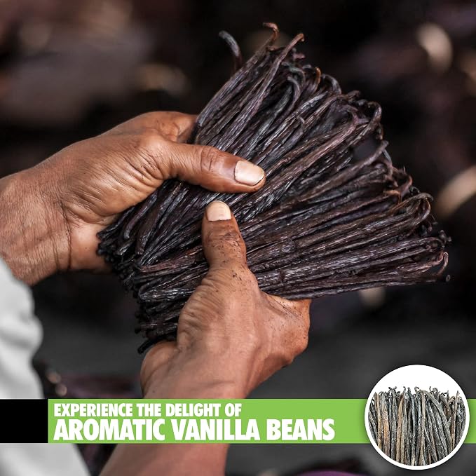 26 Organic Madagascar Vanilla Beans Extract Exclusive Grade B| 4.5" - 5.5" by FITNCLEAN VANILLA| Certified USDA Organic. Bulk Dry Whole Bourbon NON-GMO Pods (Pack of 2)