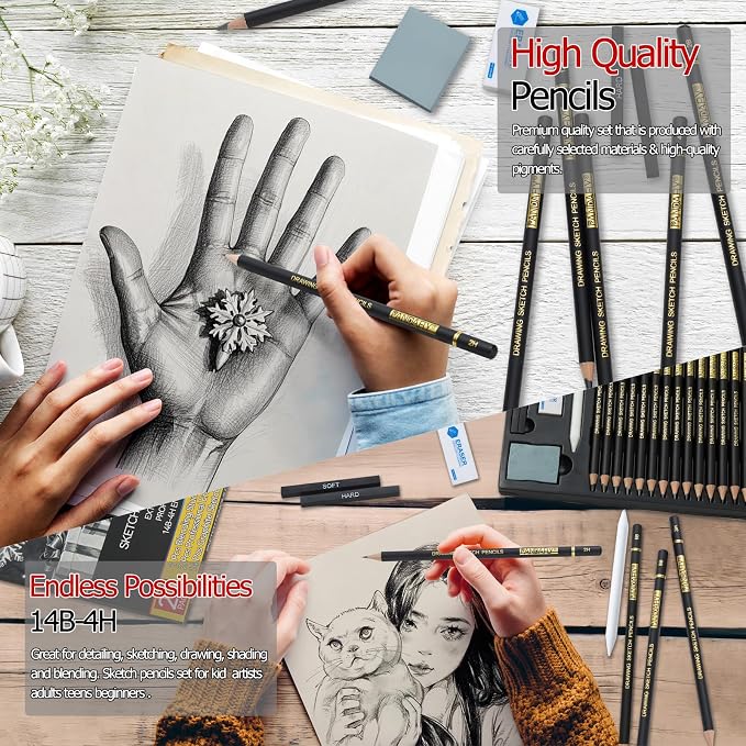PANDAFLY Drawing Sketching Pencil Set, 20 Piece, 4H-14B Graphite Pencils | Pro Art Pencil Kit with Charcoal Sticks, Erasers, Sharpener, Blending Stump, Artist Pencils For Beginners & Pro Artists