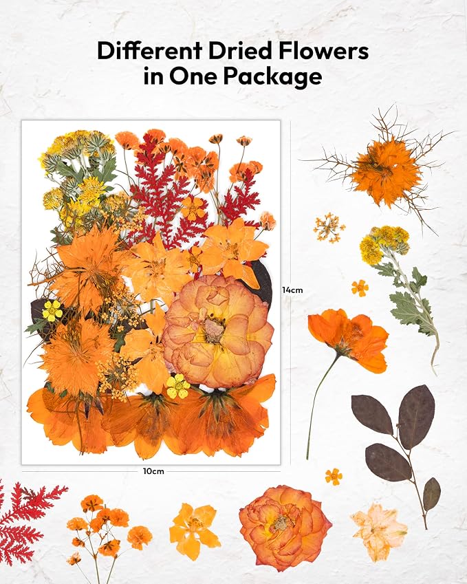 Dried Flowers, Resiners 100Pcs Pressed Flowers for Craft Real Natural Dried Flowers Dry Leaves Kit for DIY Making Crafts Resin Soap Candle Scrapbook Supplies Card Making Jewelry
