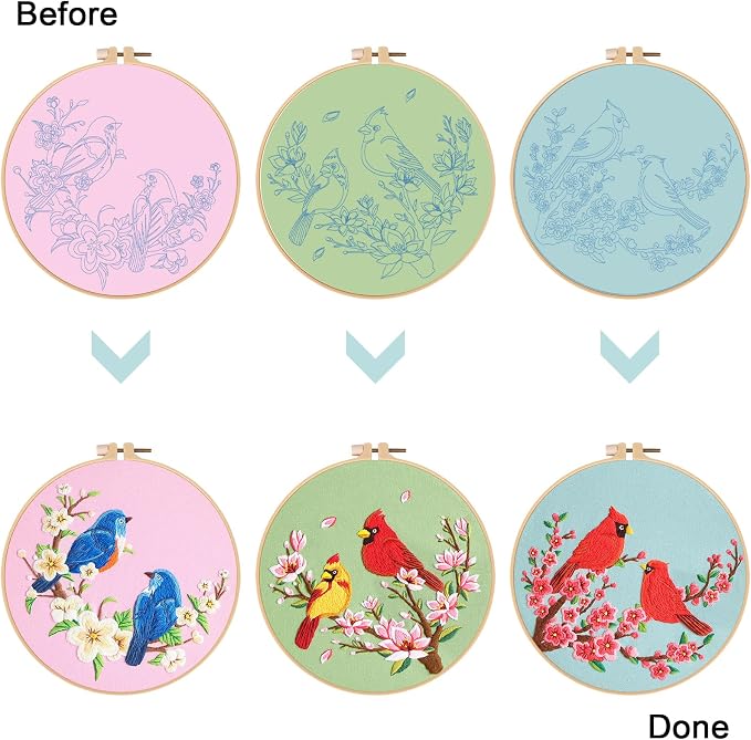 Nuberlic 3 Pack Embroidery Kit for Beginners with Cardinal & Blue Bird