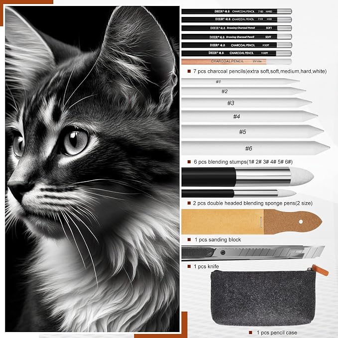 Kosiz 18 Pcs Charcoal Drawing Set Sketch Kit Black Charcoal Pencils, White, Double Headed Blending Sponge Pen Blending Stumps Sanding Block Knife Pencil Case, Artist Pencils for Beginners and Artists