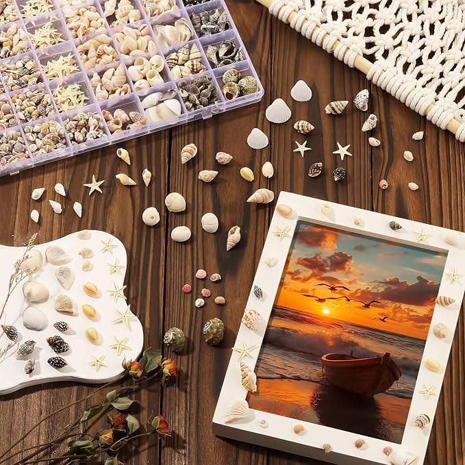 Zefy 23 Types Small Sea Shells for Crafts, 1200 Pcs Tiny Seashells | Shells with Mixed Size Starfish, Mini Shells for Vase Filler Beach Theme Party Home Decor