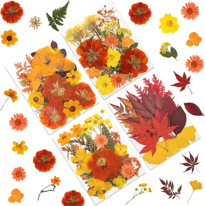 LUXEEASE 80P Autumn Tone Dried Pressed Flowers