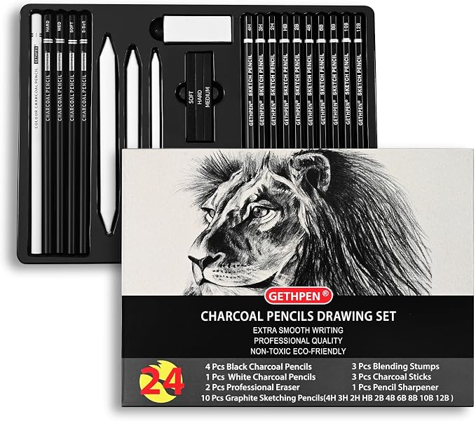 GETHPEN Drawing Sketching Pencil Set, Graphite Pencils (12B-4H), 24Pcs | Art Pencil Kit, Black and White Charcoal Pencils, Stumps, Eraser, Sharpeners, Sketching, Shading, Sketch Set for Artists
