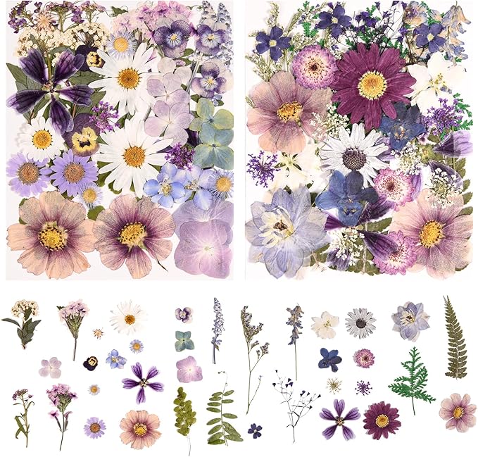 80PCS Pressed Dried Flowers & Leaves, Natural Color