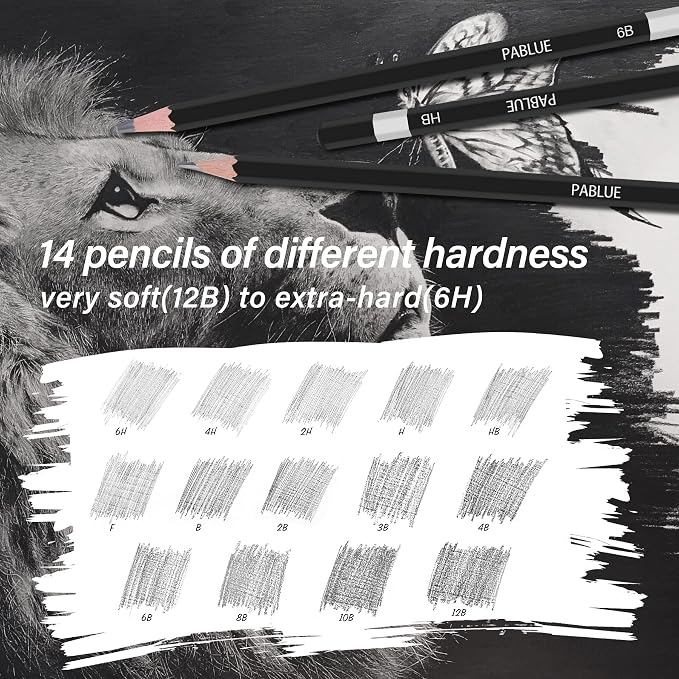 14Pcs Professional Graphite Sketch Pencils for Drawing (6H-12B) | Professional Triangular Graphite Pencils Set (6H,4H,2H,H,HB,F,B,2B,3B,4B,6B,8B,10B,12B) for All Drawing and Shading Needs