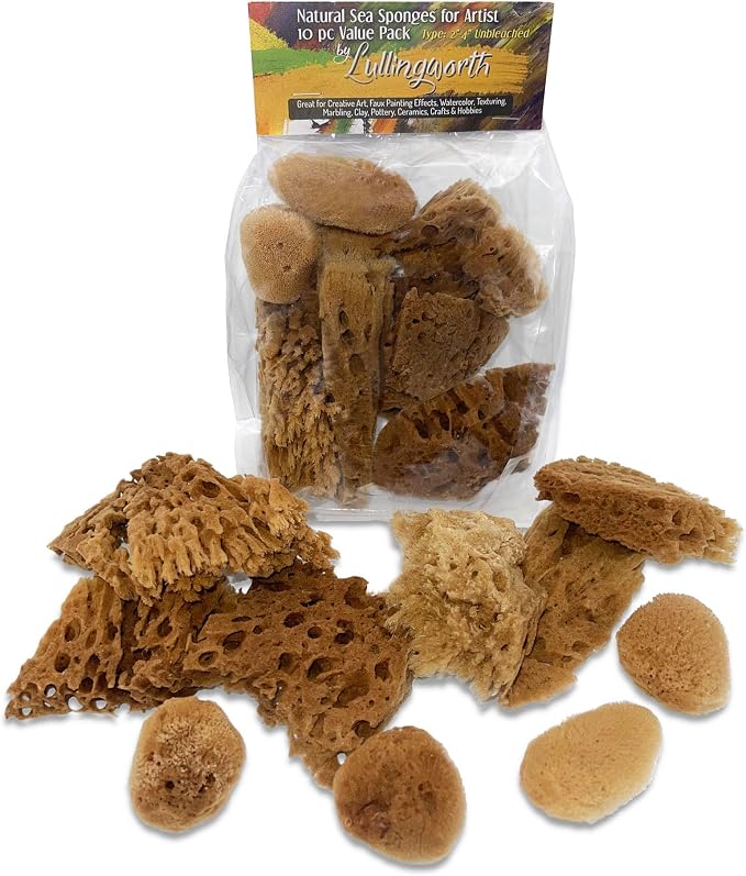 Natural Sea Sponges 10pk for Artists, 2"-4" Unbleached, Painting & Crafts