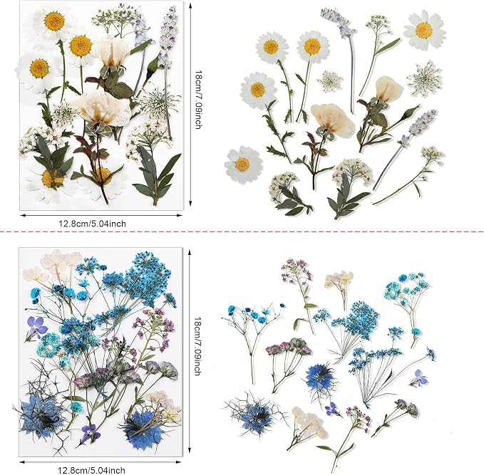 Nuanchu Real Dried Pressed Flowers Wildflower Stem for Resin Mold Craft DIY