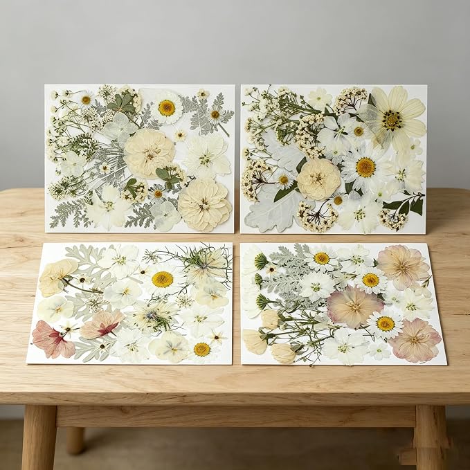 100PCS Stylifeo Natural Dried Pressed Flowers Leaves for Resin Molds Crafts