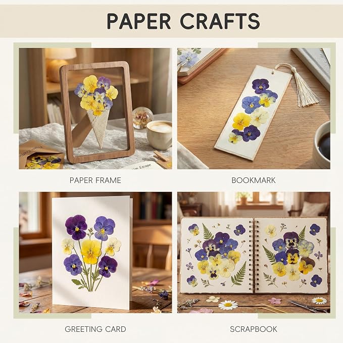 LUXEEASE 8 Color 64P Pansy Dried Pressed Flowers