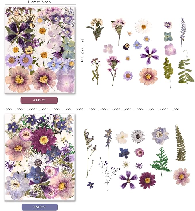 80PCS Pressed Dried Flowers & Leaves, Natural Color