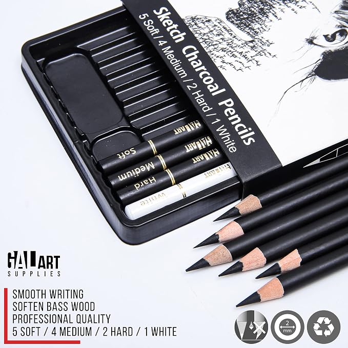 Charcoal Drawing Set with Organizer Tray – 12 Pieces Soft, Medium, Hard and White Charcoal Pencils for Drawing, Shading and Sketching for Artists and Beginners
