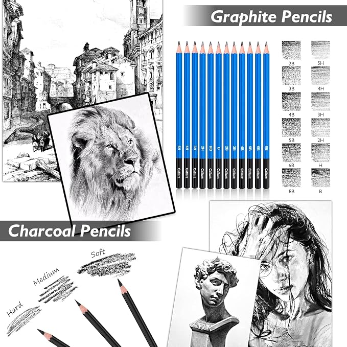 Caliart 176PCS Art Supplies Sketching Kit, 100 Sheets 3-Color Sketch Book | Graphite Colored Charcoal Watercolor & Metallic Pencils, Drawing Supplies Set Gifts for Artists Adults Beginners