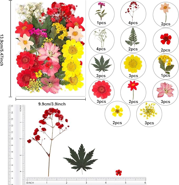 Augshy Dried Pressed Flowers, Natural Resin Flowers, Real Mixed Color Pressed Flowers, Colorful Dry Flowers for Resin Jewelry Nail Art Craft DIY