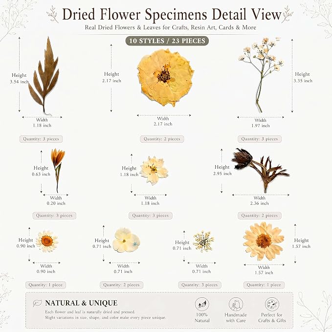 LUXEEASE 100P Vintage Warm Tone Dried Pressed Flowers