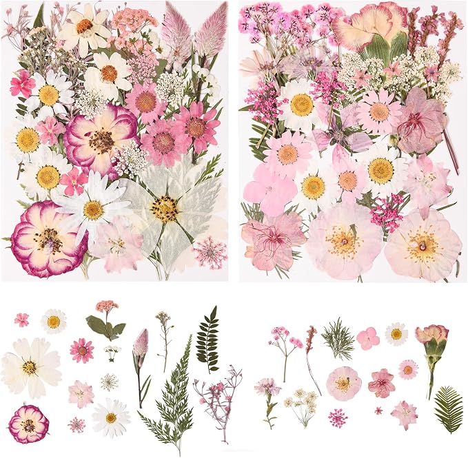 80PCS Pink Pressed Dried Flowers Dry Leaves with Tweezers