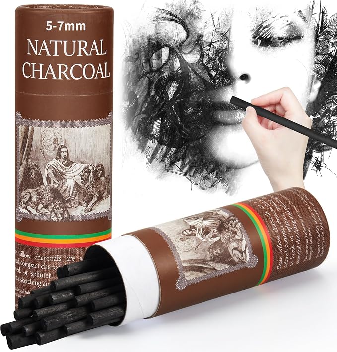 Gueevin 25 Pcs Soft Willow Charcoal Sticks Drawing,5-7mm | For Artists Beginners Students, Vine Charcoal Bulk for Sketching Shading Fine Art, Assorted Sizes, Back to School Gifts