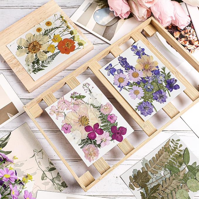 Nuanchu Real Natural Dried Pressed Flowers Greenery for Craft Resin Mold