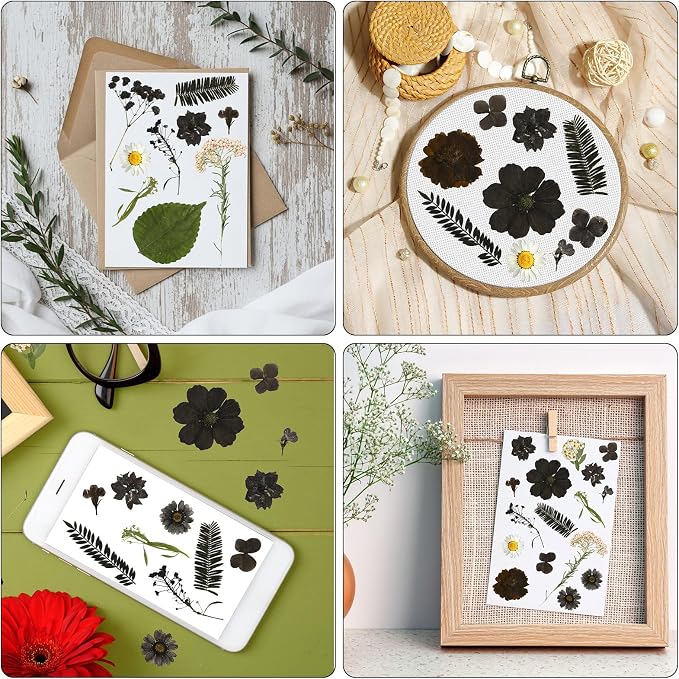 Augshy 72Pcs Black Pressed Flowers for Crafts Halloween Dried Flowers Bulk